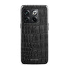 Drake - OnePlus 10T