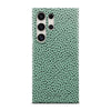 Kiwi - Samsung S24 Ultra